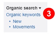 เปิดรายงาน Organic Keyword