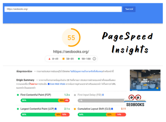 หน้าจอ Google PageSpeed Insights